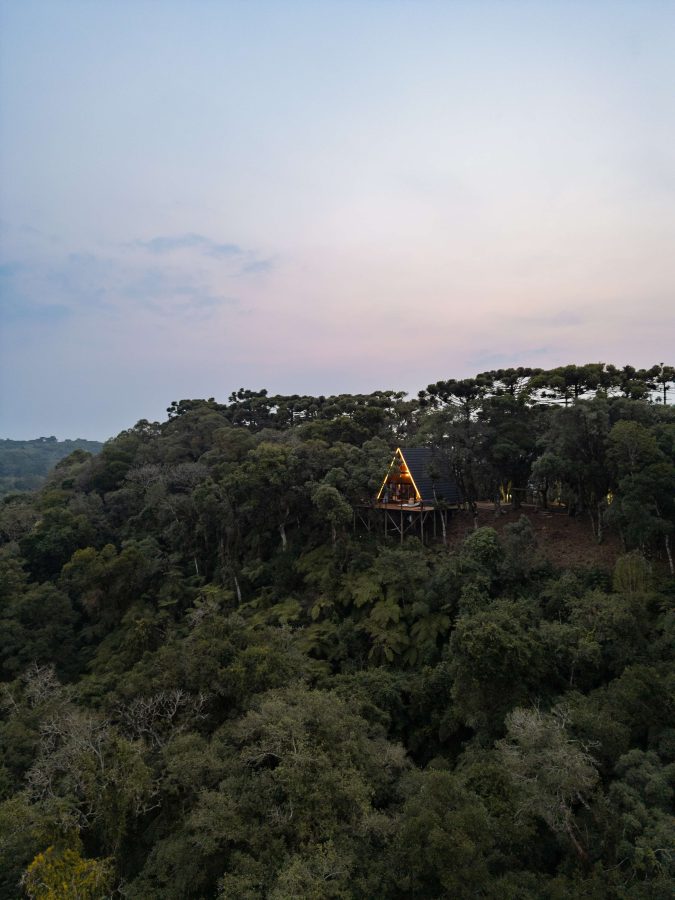 Estrada Carlos Dreyer