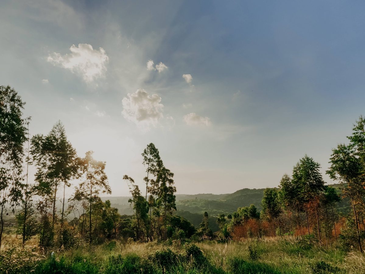 Rua Jordão, S/N, Bairro Jurupará