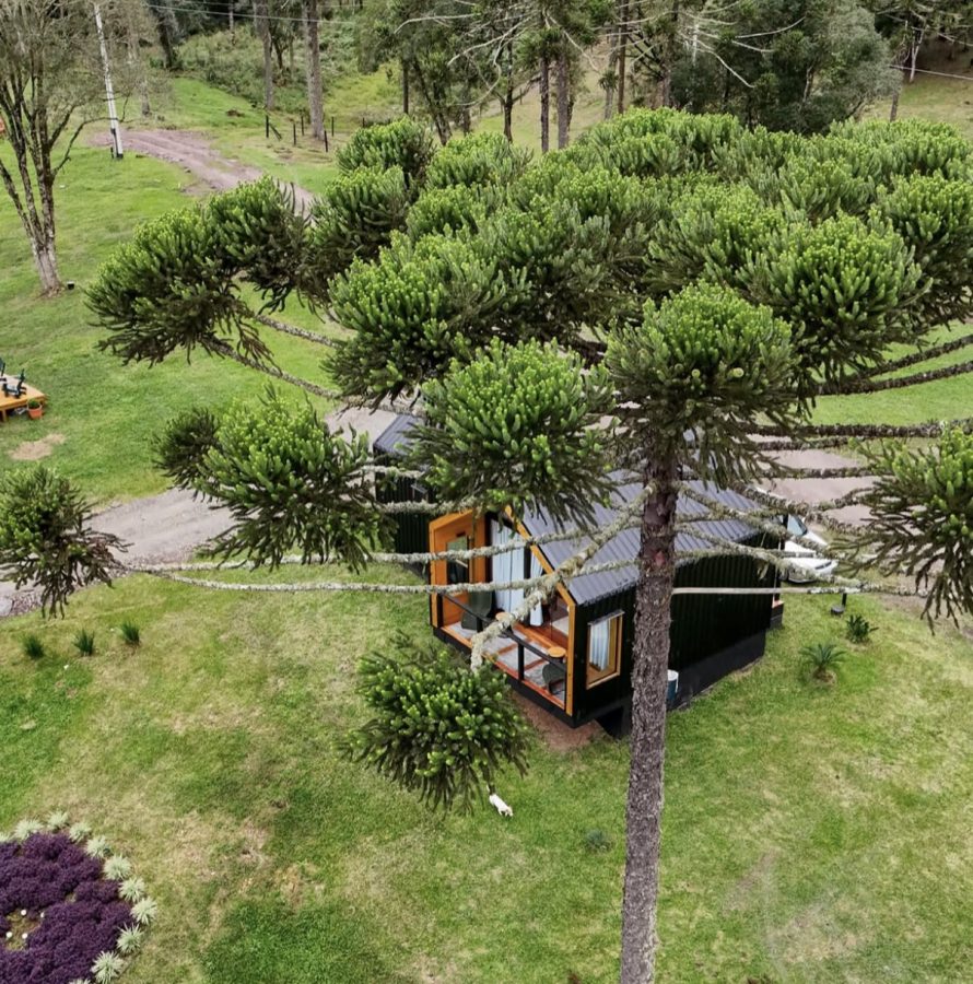 Estrada geral invernador