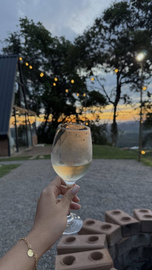 Chalé alto dos ipês, bairro do livramento, Socorro-SP