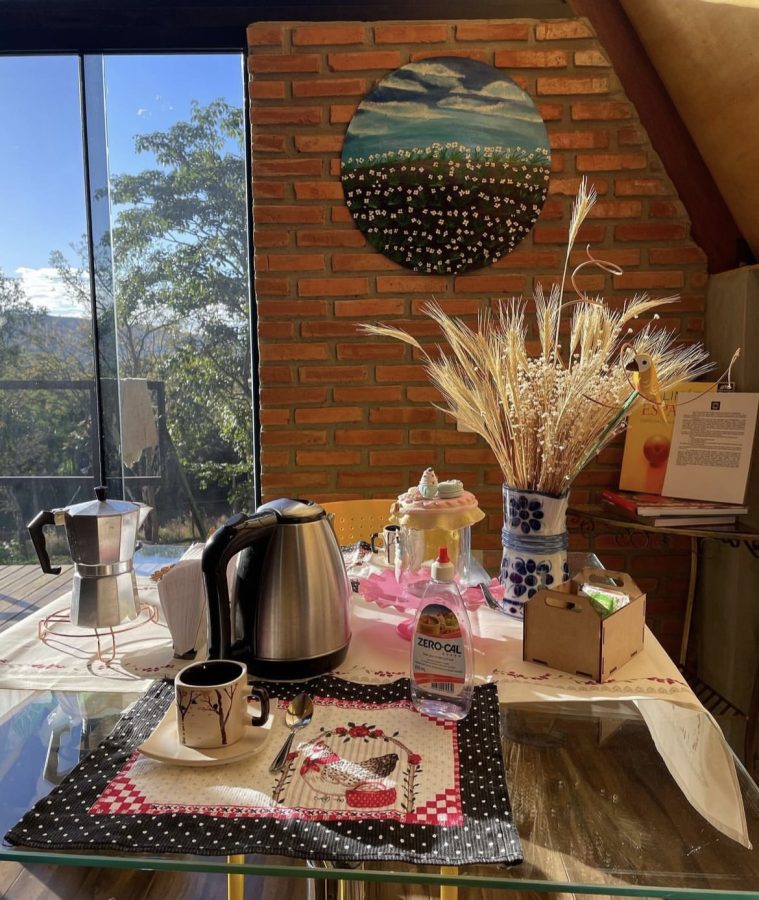 instagram.com/chalegirassol