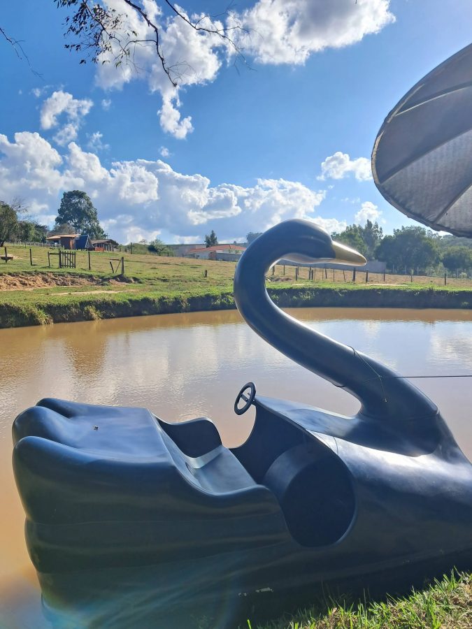 Rodovia Antônio Nicolau Ferreira, Km 02, Bairro Ponte Preta (Recanto La vie en Rose)