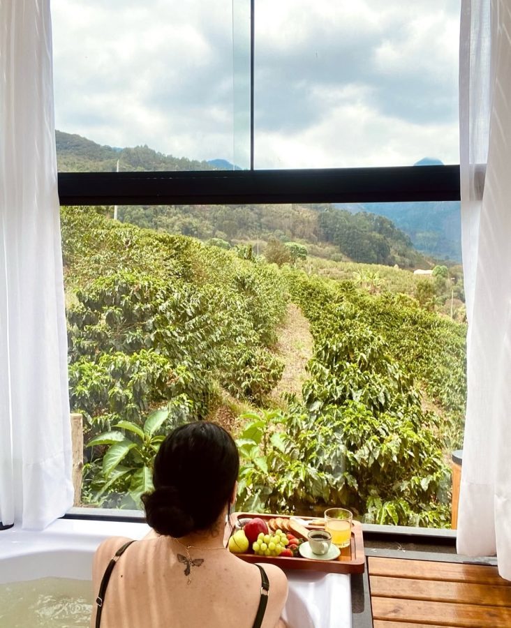 Chalé Nó de Bambu — Dores do Rio Preto, ES