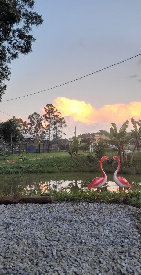 Estrada Geral Arroio do Boi