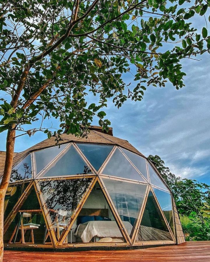 instagram.com/clubedomato