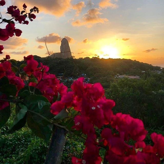 Estrada da Colina,06