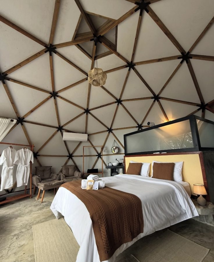 instagram.com/domoaysu