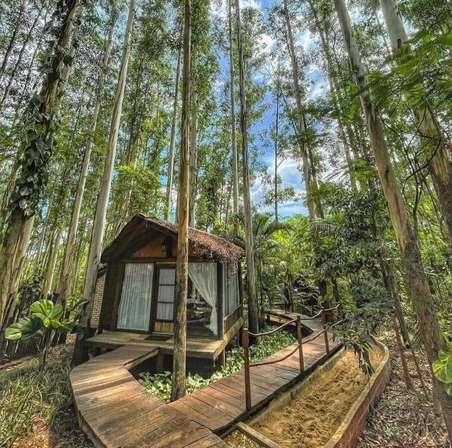 Rodovia PR 317 - Km 114, PR-317, 86750-000