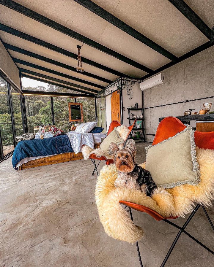 instagram.com/entrechales