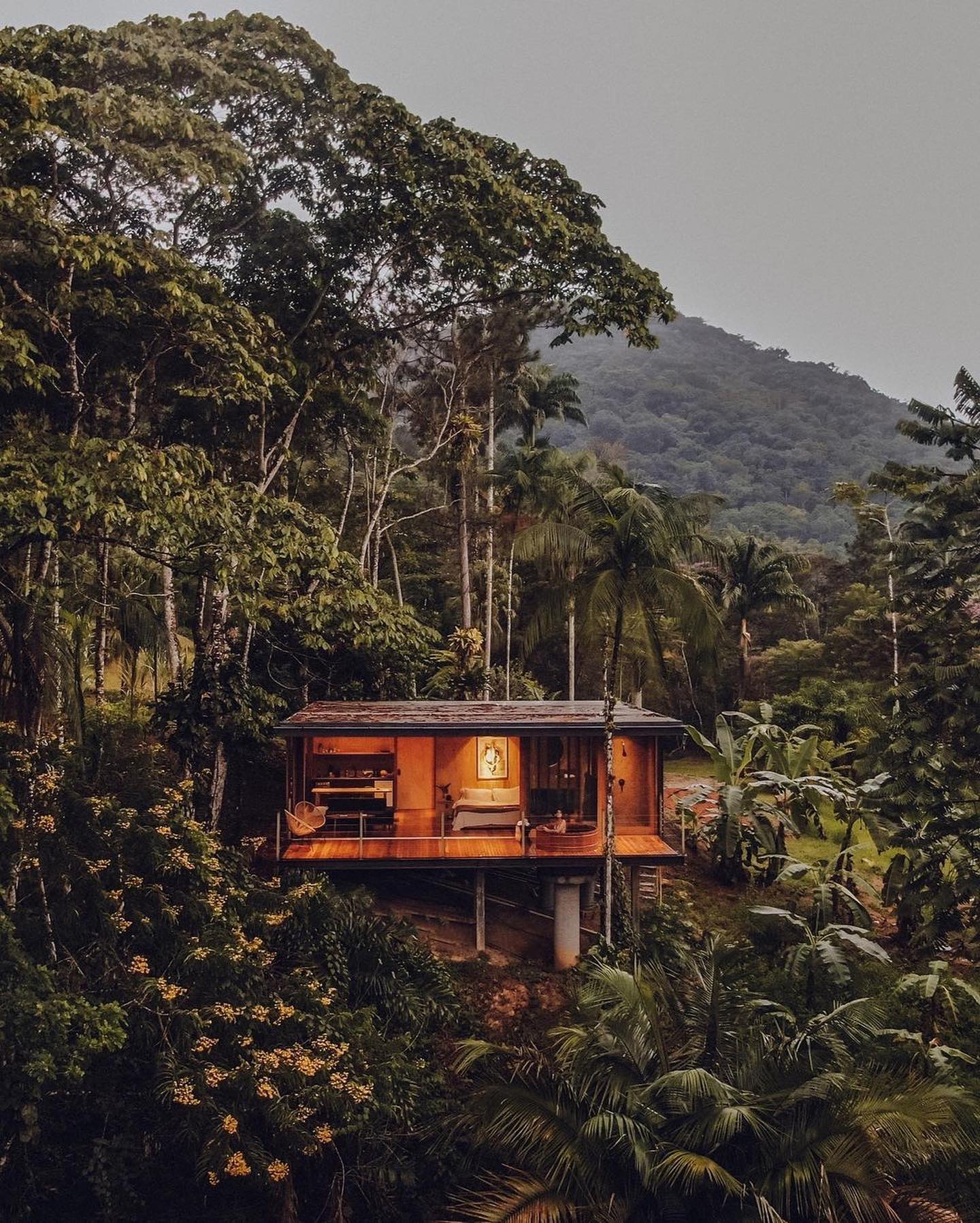 Jaguatirica Jungle Cabin