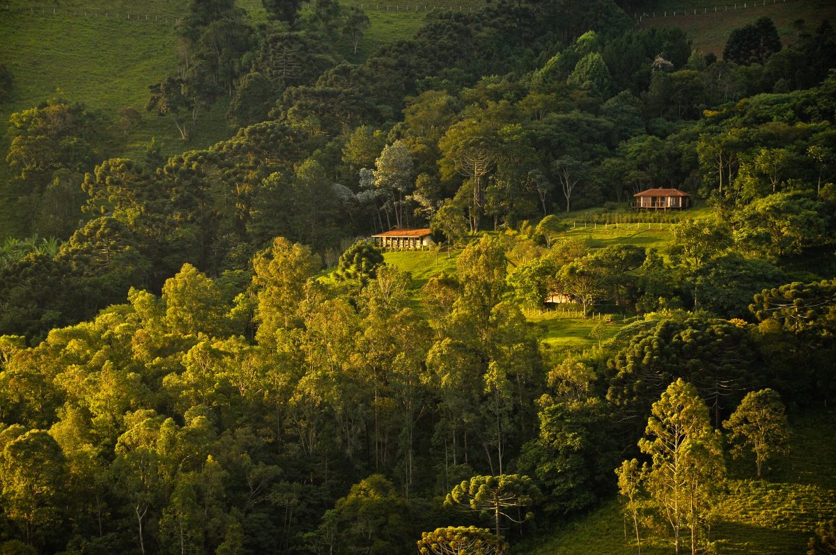 Fazenda Lila, São Bento do Sapucaí — foto 5/10