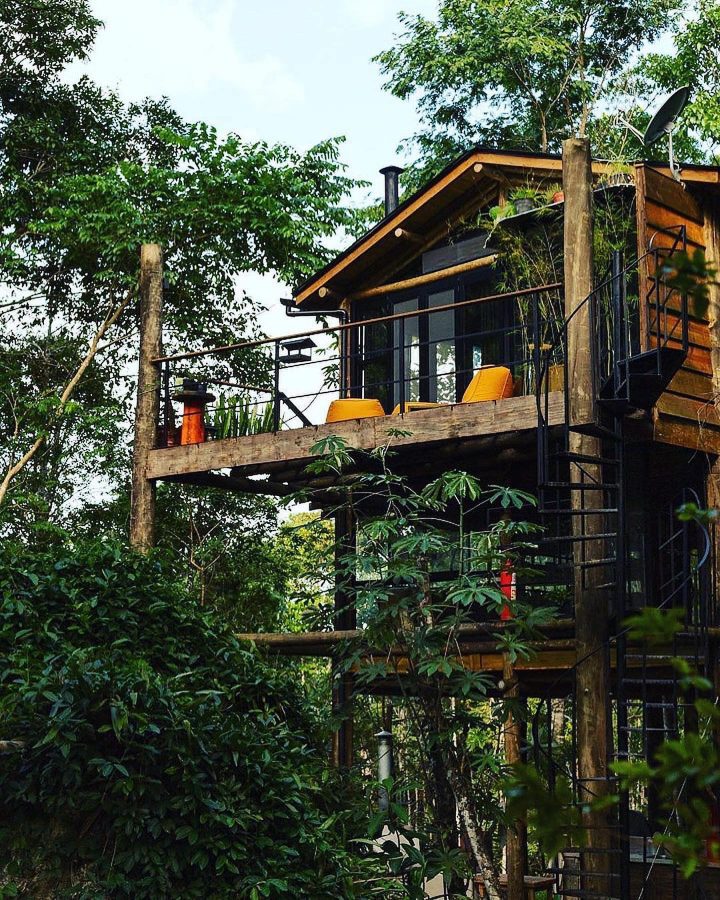 Condado dos Guapuruvus