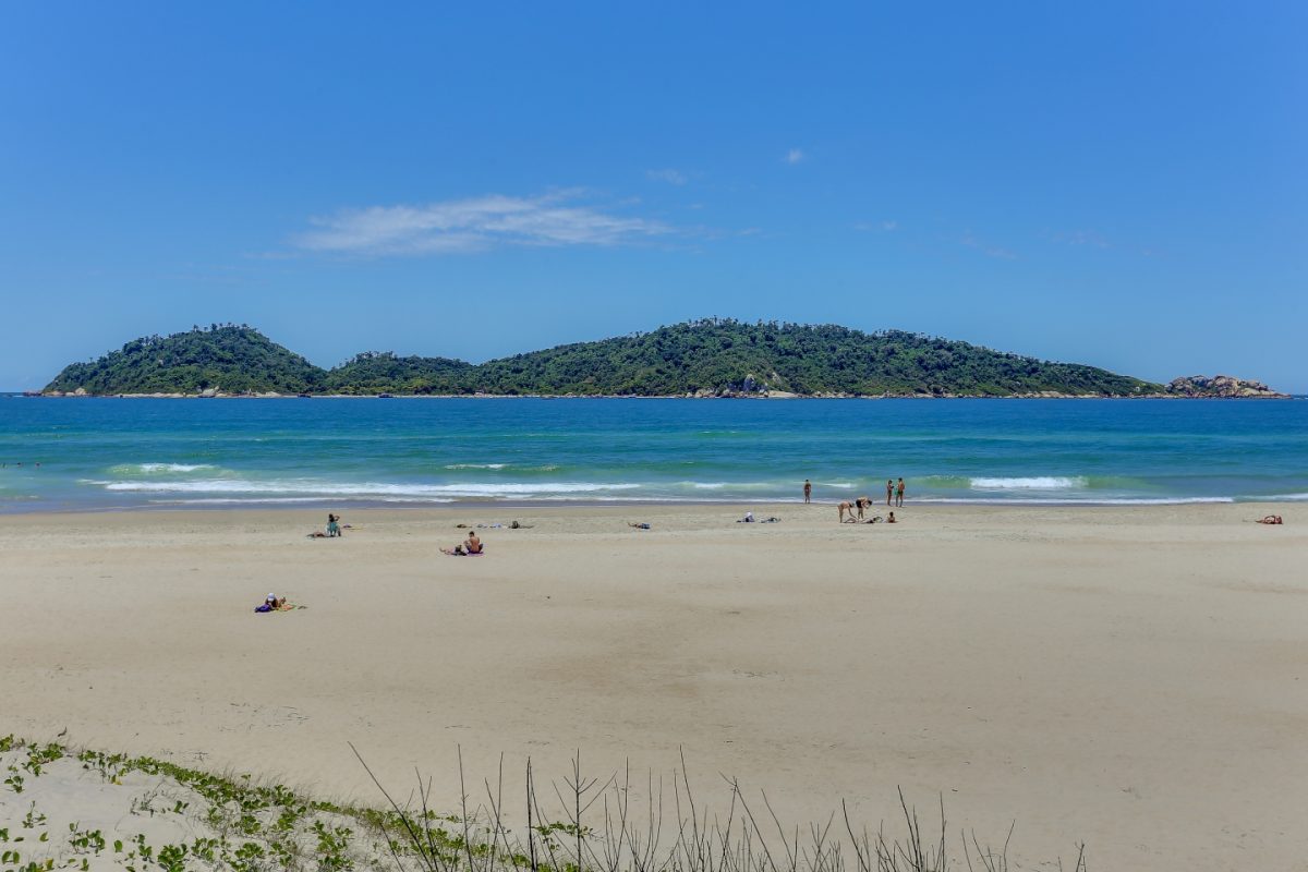 Ilha Faceira, Florianópolis, Campeche — photo 3/8