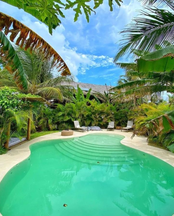 instagram.com/jardimdovento