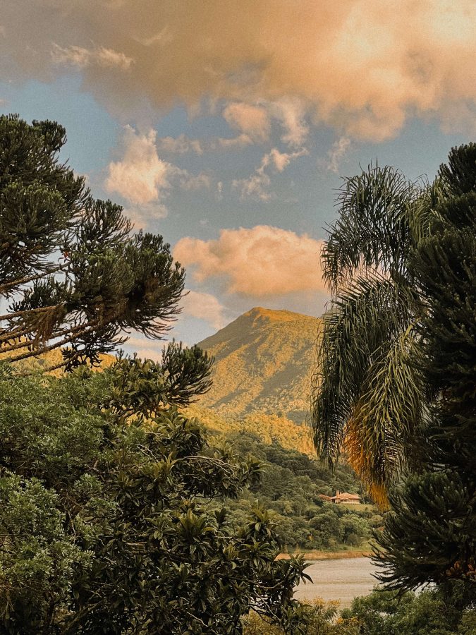 Central Park Capivari