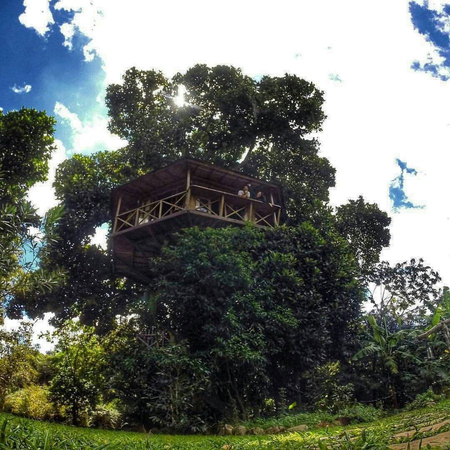 Rua dos Gatos s/n Vale do Capão