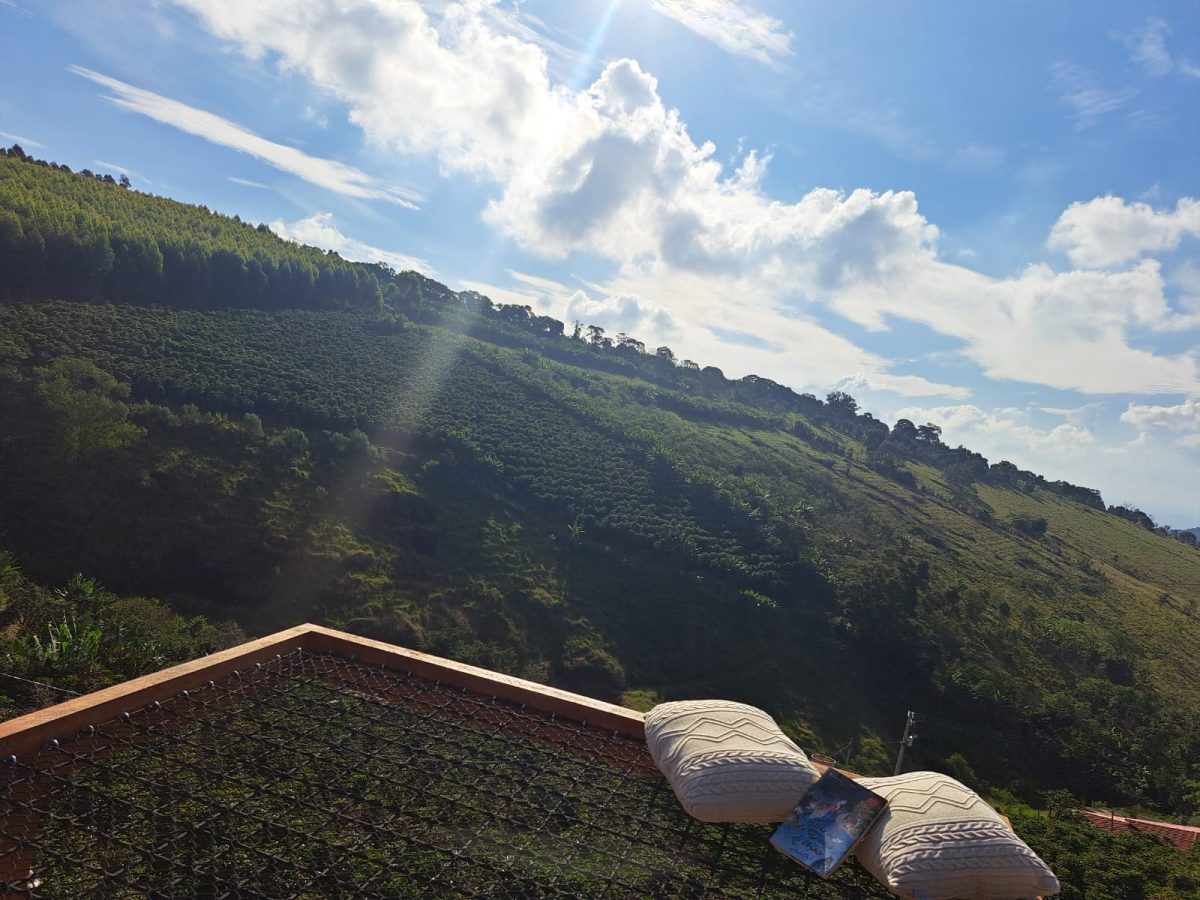 Paradise in Coffee, Socorro — foto 9/10
