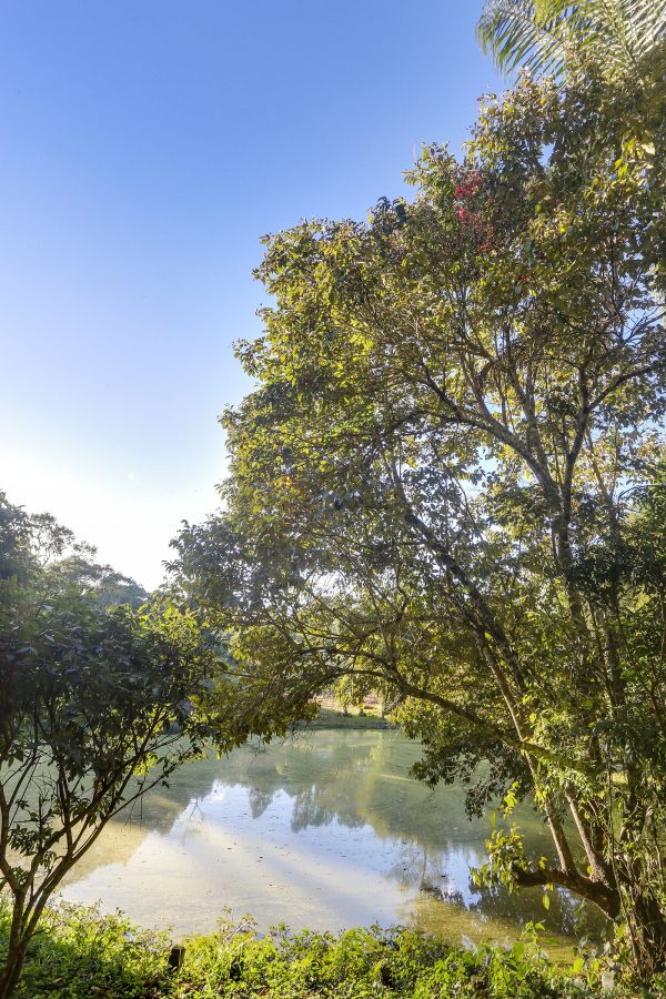 Avenida Leonor Furlaneto Delgado 911