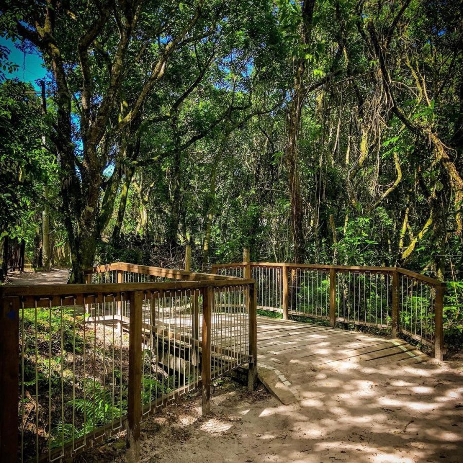 Trilha Principal, s/n CEP 83251-000 Ilha do Mel - Nova Brasília - Praia de Fora