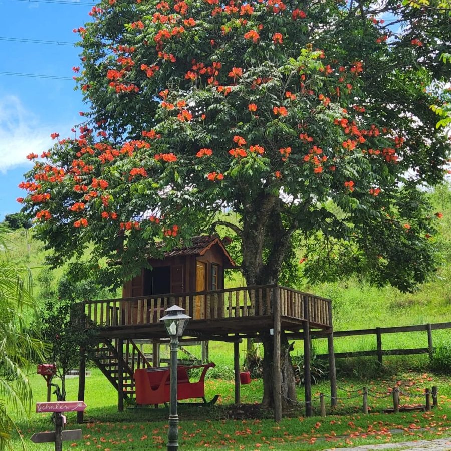 http://www.pousadadasbromeliasipiabas.com.br/
