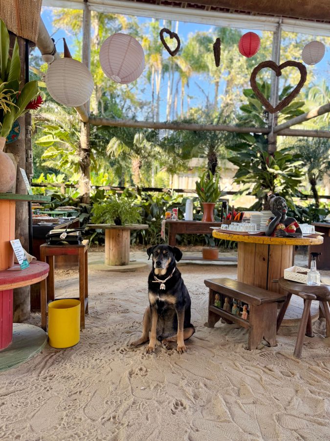 Portal do Cacau Pet Friendly, São Sebastião — foto 6/6