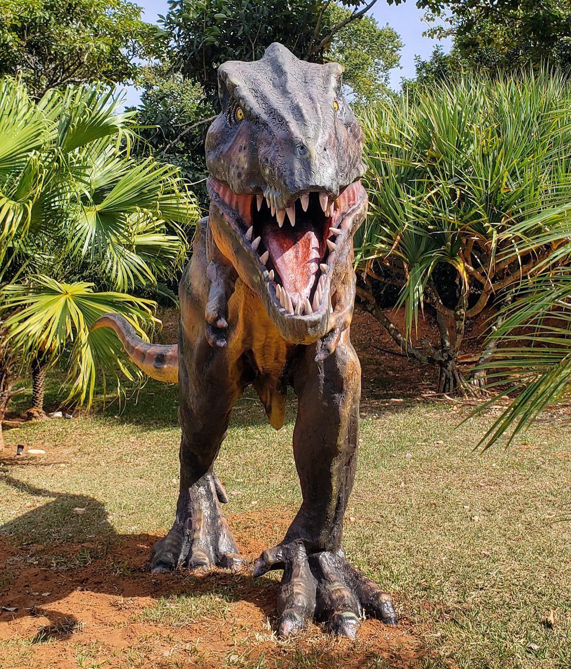 Pousada Vale do Dinossauro