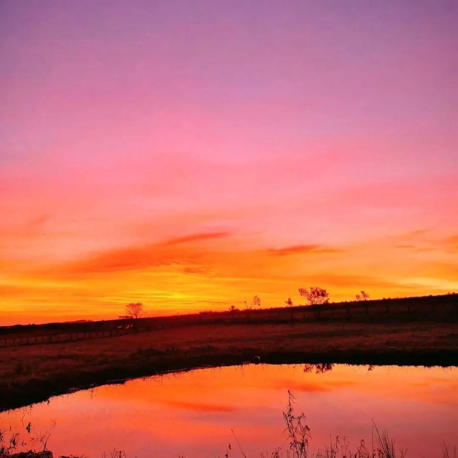 H76C+XF - São Luiz do Purunã, Balsa Nova - PR, 83650-000, Brazil