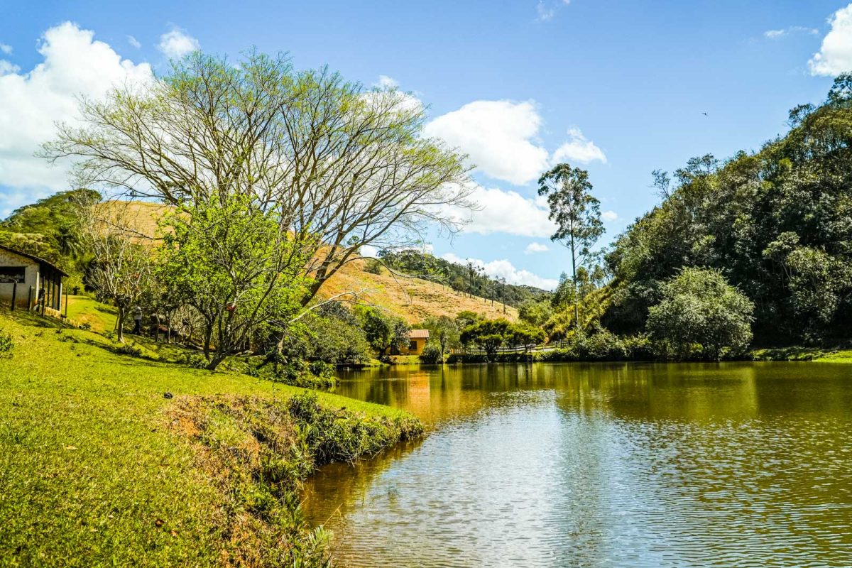 R. Ana Leite Julião Torres, 202 - Ribeirão, Ilhabela - SP, 11630-000