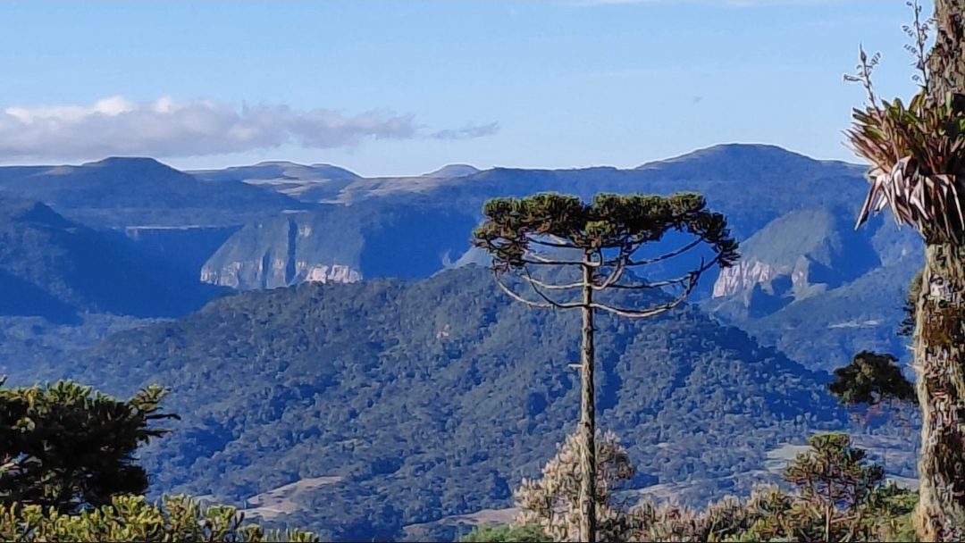 Sierra Top - Refúgio de Altitude, Urubici — photo 10/10
