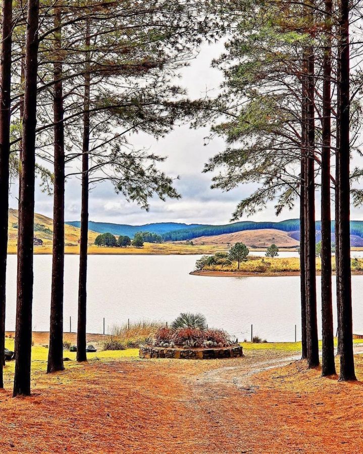 Fazenda Chimarrão - Divisa