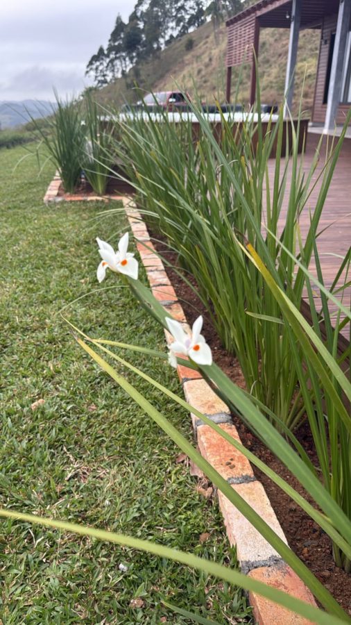 Vila Orama Hospedagens, Lauro Müller, Barro Branco — foto 9/10