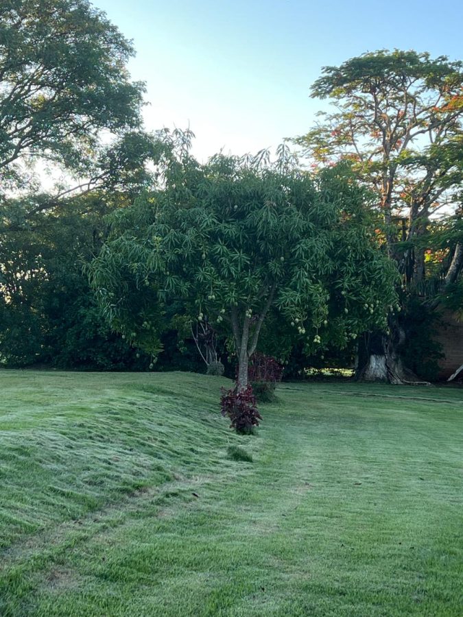 Primeiro De Maio, Parana, Brazil