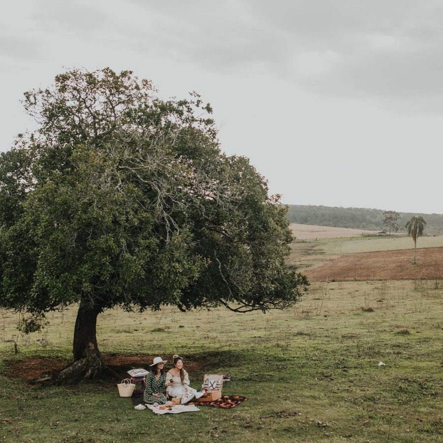 Virá Farm Hotel, Teixeira Soares — photo 10/10