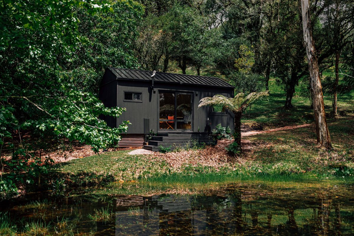 instagram.com/viva.lafora