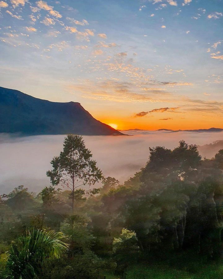 Rua Padre Marcelino Braga, 336